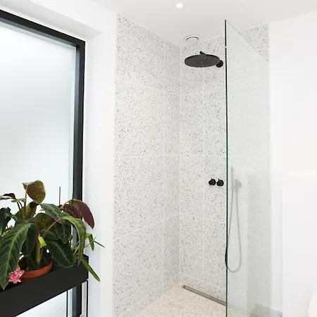 Modern Architecture Atrium House Vila *