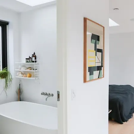 Modern Architecture Atrium House Kodaň