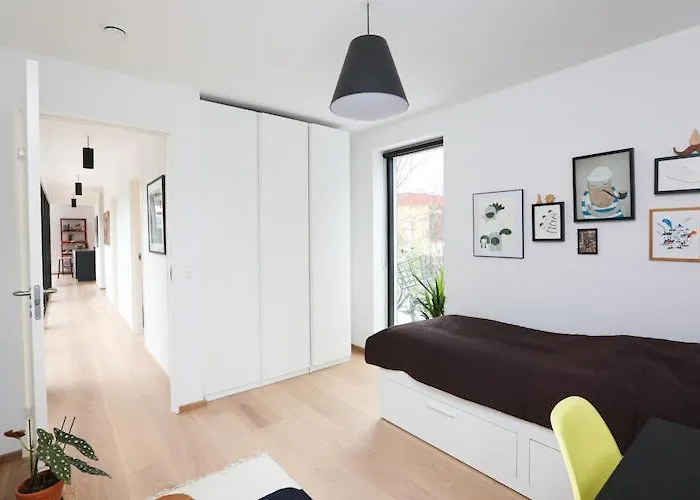 Modern Architecture Atrium House Villa *