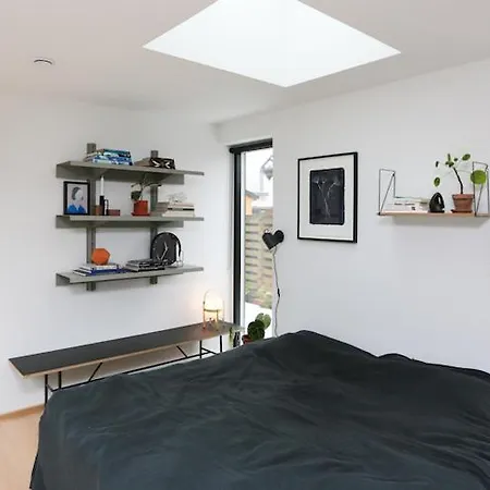 Modern Architecture Atrium House